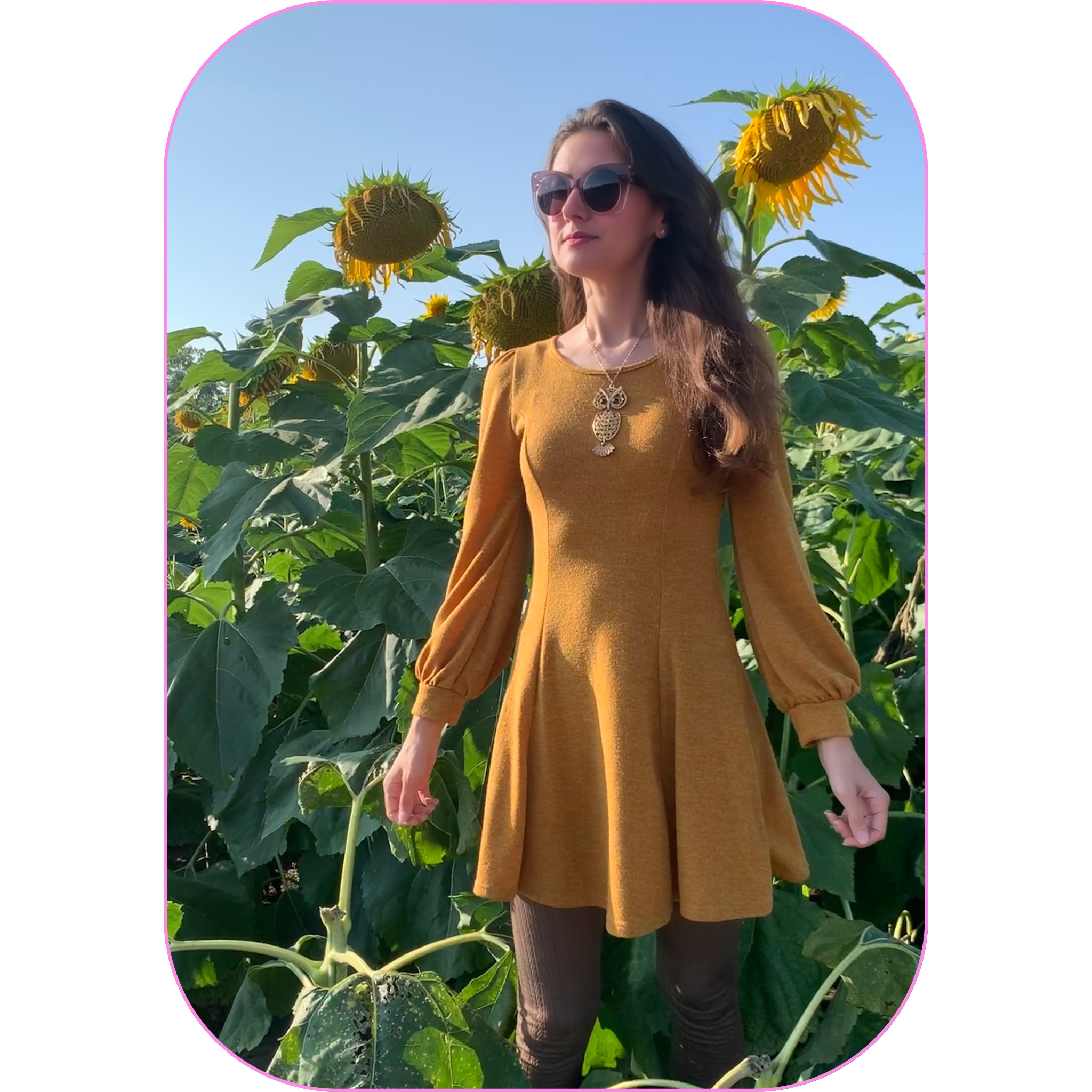 Sunflower Field!