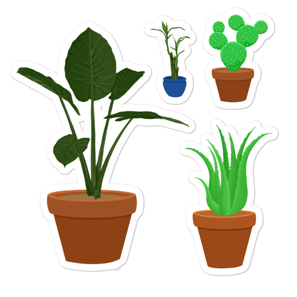 House Plants 5.5