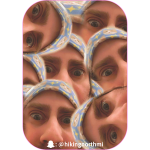 The upper portion of the face of a man wearing the Mr. Peaches the Cat Beanie, repeated in a kaleidoscope-like collage