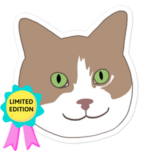 Load image into Gallery viewer, Mr. Peaches the Cat Sticker (FREE SHIPPING)